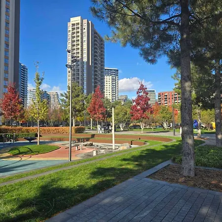 Bw Quartet 303 Deluxe 贝尔格莱德